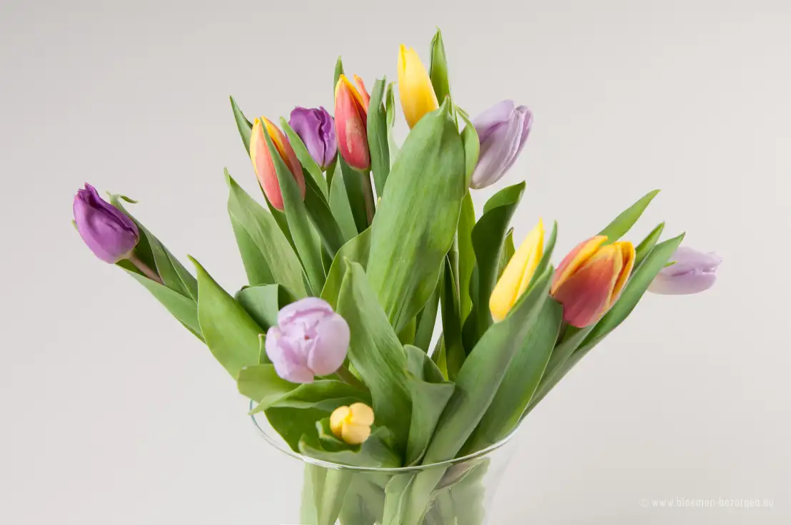 Een boeket met tulpen