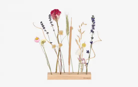 Bloomon droogbloemen bestellen