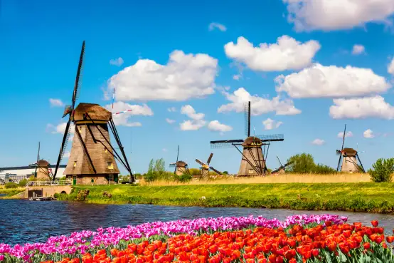 Molens en tulpen in Nederland