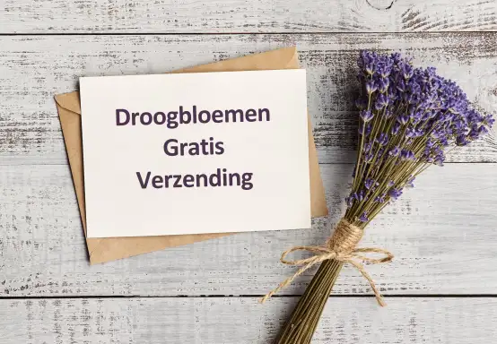 Droogbloemen gratis verzending