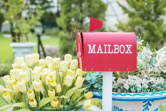 Populaire brievenbusbloemen met Pasen kiezen