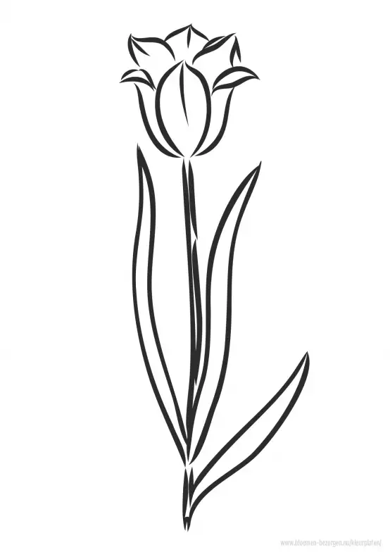 Kleurplaat tulp