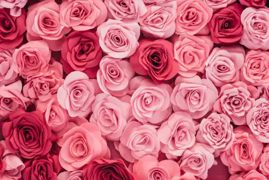 Heel veel roze rozen in een boeket