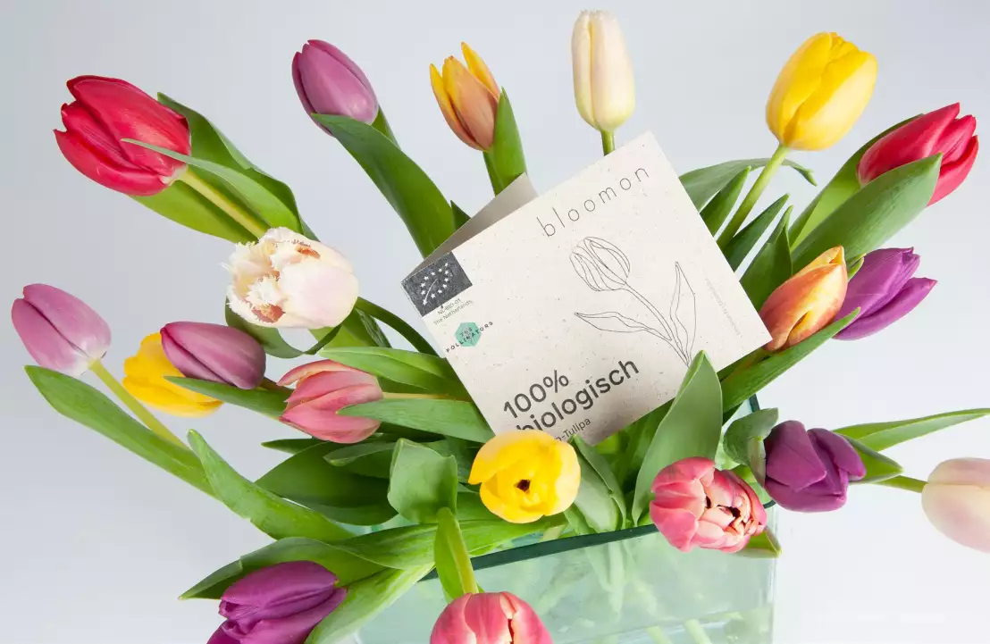 Het boeket bio tulipa van bloomon in een vaas met een bloemenkaartje erbij