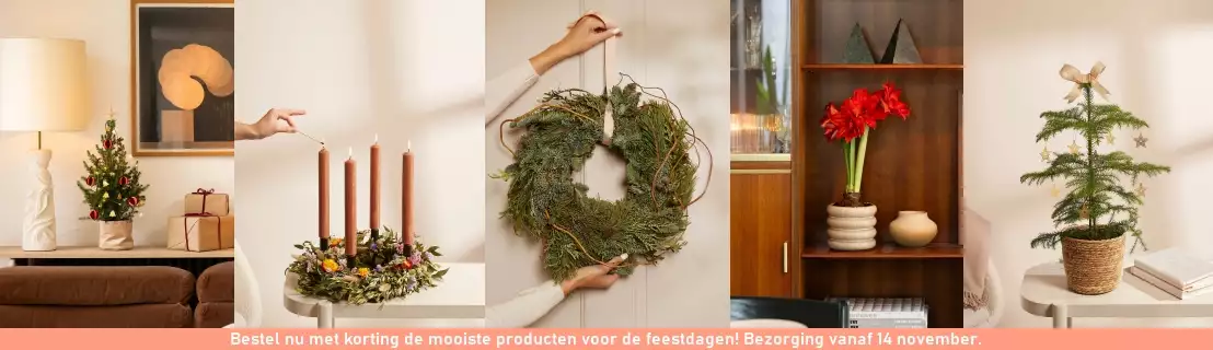 Bloomon voor de feestdagen