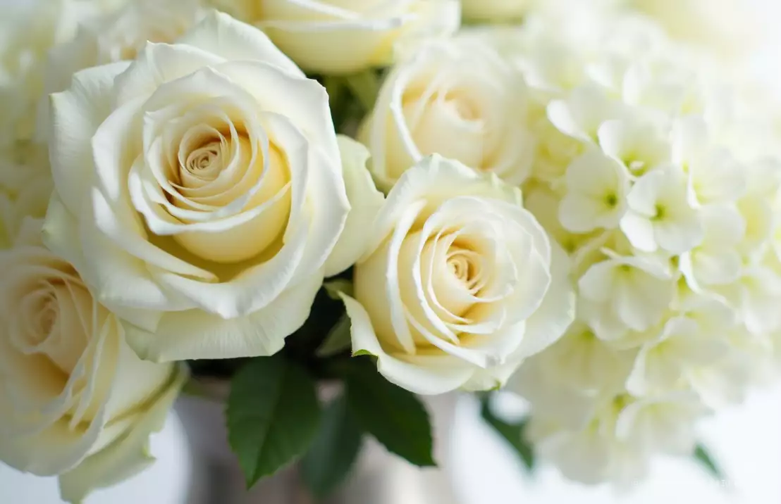Een sereen arrangement van witte rozen en hortensia's in een zilveren vaas, met een zacht en gedempt licht.